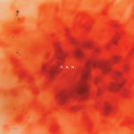 D.A.N. 2nd album『Sonatine』リリースツアーをアジア含む全16都市で開催！
