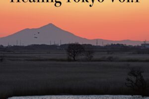 東京から世界へ癒しをお届け♬☆毎月10日は「Healing Tokyo」の日☆4月10日より配信スタート！